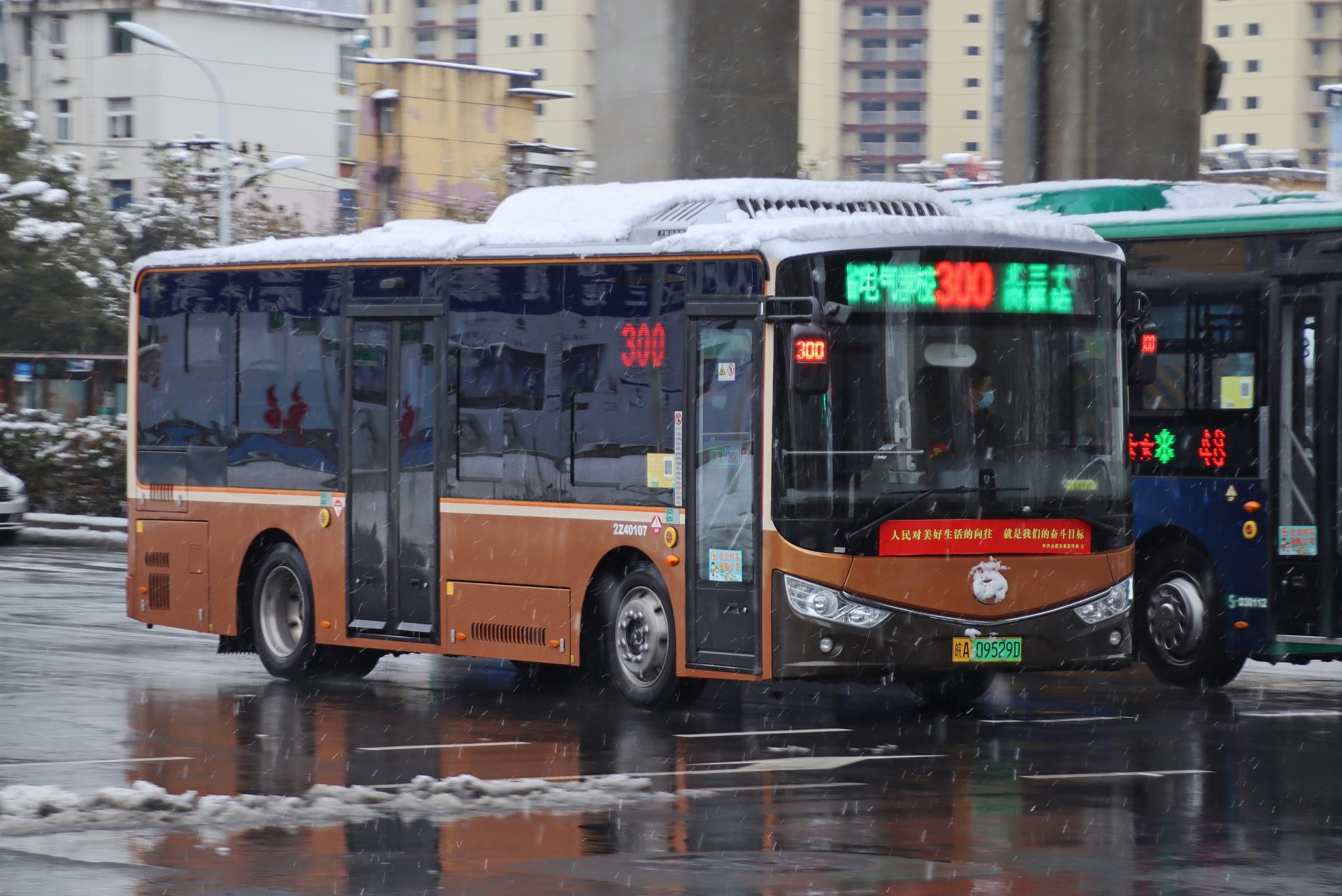 雪天杂图